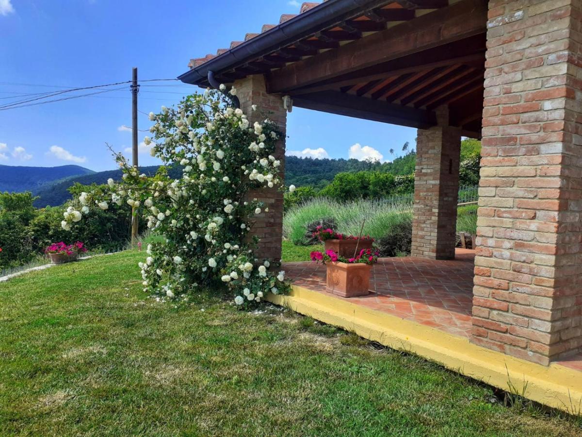 Dimora Degli Angeli Villa Chianni Eksteriør billede